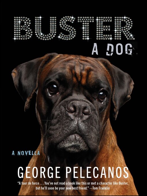 Cover image for Buster